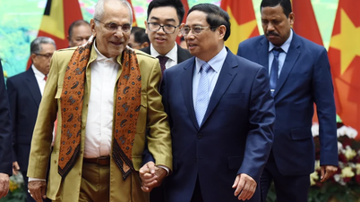Hope Timor-Leste creates more favorable conditions for Vietnamese enterprises to invest and do business.