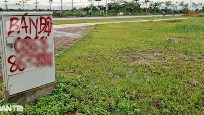 Hà Nội đấu giá 82 lô đất vào đầu năm 2025, khởi điểm từ gần 1 triệu đồng/m2