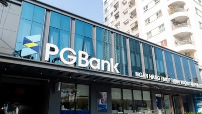 PGBank hậu đổi chủ và những bài toán khó giải từ Luật TCTD 2024
