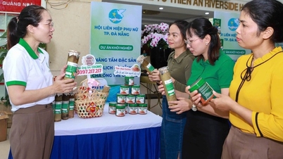 Diverse products on display from the innovative startup and green transformation project in the Central region