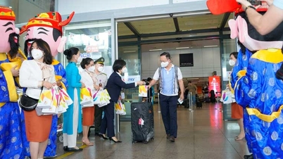 Doanh nghiệp du lịch viết dự án sản phẩm mới, Đà Nẵng sẽ xem xét thí điểm