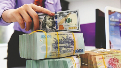 Chính sách lãi suất USD 0% hỗ trợ hiệu quả cho mục tiêu ổn định tỷ giá