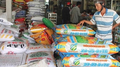 Vietnam uses 3 times more fertilizer than the world average.