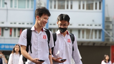 Universities will not be allowed to enroll more than 20%?