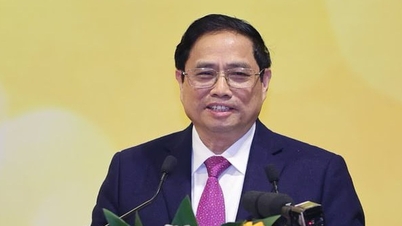 Cần phát triển thể thao thành tích cao theo chiều sâu
