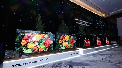 TCL announces new series of smart home appliances in Vietnam