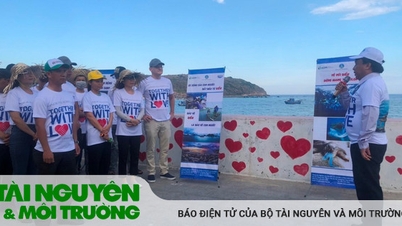 Phát động chiến dịch truyền thông bảo tồn bãi đẻ rùa biển