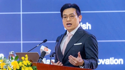 Đà Nẵng ‘lót ổ đón đại bàng’ vào trung tâm tài chính quốc tế