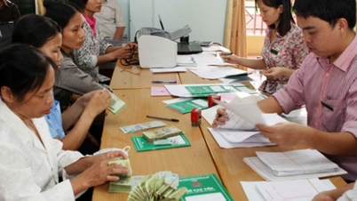 Perfecting the legal framework for the organization and operation of the Farmers Support Fund