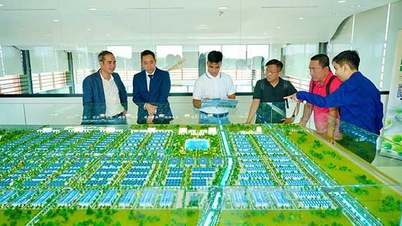 សួនឧស្សាហកម្មអេកូឡូស៊ីដំបូងគេ 400 ហិកតា លេចឡើងនៅច្រកទ្វារខាងលិចនៃទីក្រុងហូជីមិញ
