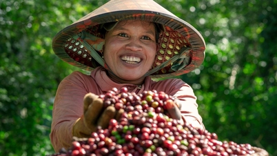 Nhộn nhịp ngày mùa