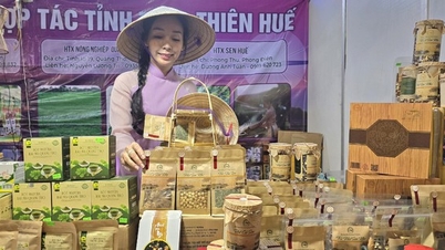 44 provinces and cities participate in trade promotion for collective and cooperative economic sectors in 2024