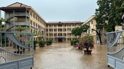 Sau bão số 3, 10 triệu bản sách giáo khoa được in bổ sung, chi phí in khoảng 30 tỷ đồng