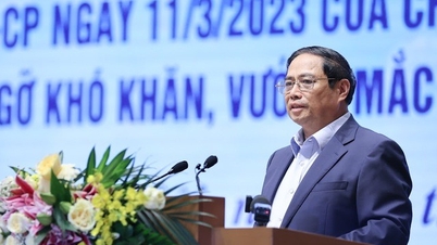 Các dự án của Novaland căn bản đã có hướng giải quyết