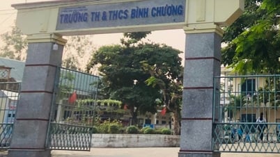 Quảng Ngãi: Xem xét kỷ luật hiệu trưởng có hành vi bạo lực gia đình