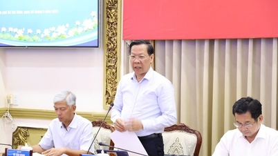 Chủ tịch TPHCM giám sát công việc của phó chủ tịch, giám đốc sở