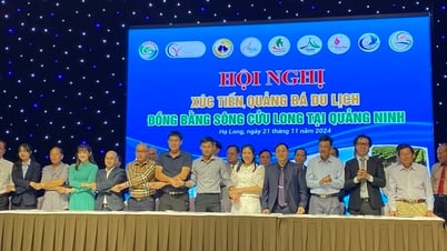 ផ្សព្វផ្សាយ និងផ្សព្វផ្សាយទេសចរណ៍នៅតំបន់ដីសណ្តទន្លេមេគង្គ ជាមួយខេត្តនៃដីសណ្ដទន្លេក្រហម