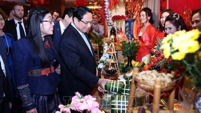 El primer ministro Pham Minh Chinh y su esposa asisten al programa Primavera Patria en Polonia