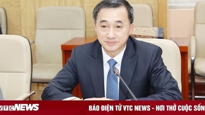 Thứ trưởng Bộ Y tế Trần Văn Thuấn kiêm nhiệm thêm nhiệm vụ mới