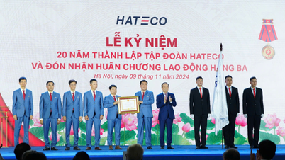 Hateco Group received the Third Class Labor Medal