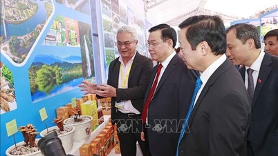 Quy hoạch tỉnh là cơ sở để Hà Tĩnh tiếp tục triển khai các định hướng chiến lược phát triển