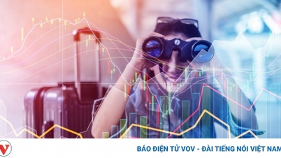 Một số cổ phiếu cần quan tâm ngày 12/10