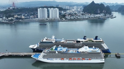 Making Quang Ninh a sustainable marine economic center