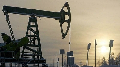 США ввели первые санкции из-за ограничения цен на российскую нефть