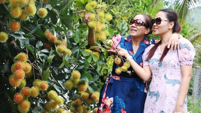 ឡាំសុន៖ ផ្លែ​ឈើ​រីក​រាយ​ក្នុង​រដូវ​បុណ្យ