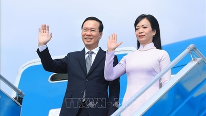 Chủ tịch nước thăm chính thức Nhật Bản: Điểm nhấn quan trọng trong năm kỷ niệm 50 năm quan hệ ngoại giao Việt Nam