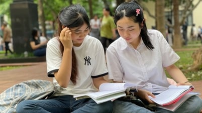 ハノイ国立教育大学、能力評価のための参考テスト問題を発表