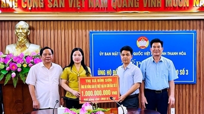 Thanh Hoa បានទទួលប្រាក់ជាង ២១,១ពាន់លានដុង ដើម្បីផ្គត់ផ្គង់ប្រជាជនដែលរងផលប៉ះពាល់ដោយព្យុះលេខ៣