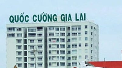QCG của doanh nhân Cường “Đô La” lỗ 16,6 tỷ đồng, dòng tiền xoay trở khó khăn
