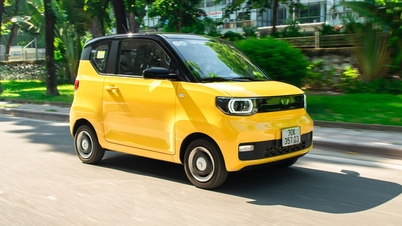 Nhà phân phối Wuling Mini EV nói gì khi kiểm toán nghi ngờ khả năng hoạt động liên tục?