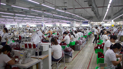 Doanh nghiệp dệt may đón đơn hàng mới, sôi động tuyển thêm lao động