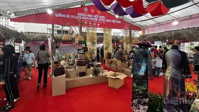 Ongoing Space ដើម្បីណែនាំ និងផ្សព្វផ្សាយទេសចរណ៍កសិកម្ម និងជនបទរបស់វៀតណាម