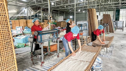 Policy credit supports Ha Nam's sustainable economic development
