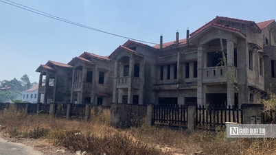 After the "fever" of Dong Nai real estate market, how is it now?