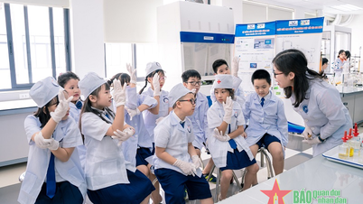 Hỗ trợ khởi nghiệp, hướng nghiệp cho học sinh từ sớm