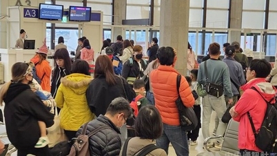 Công ty bỏ rơi 300 khách ở Phú Quốc bị đình chỉ kinh doanh
