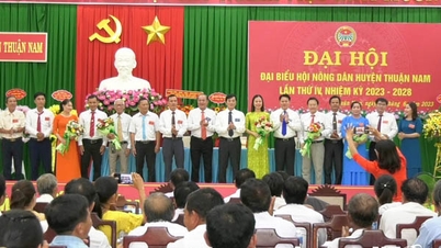 Hội Nông dân huyện Thuận Nam: Tổ chức Đại hội lần thứ IV, nhiệm kỳ 2023-2028