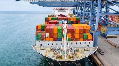 The United States extends the deadline for anti-dumping and anti-subsidy investigation procedures