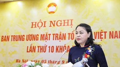 베트남 조국전선 제10차 대회에 제출할 초안 문서 내용 완성