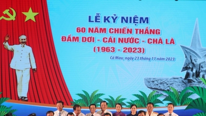 Ca Mau: Celebrating the 60th Anniversary of the Victory of Dam Doi - Cai Nuoc - Cha La