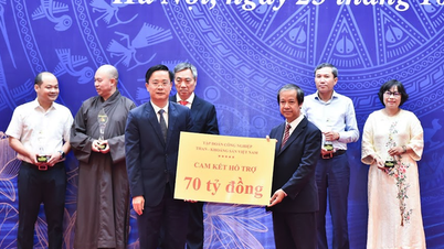 More than 300 organizations and individuals invested 33,000 billion VND to consolidate schools.