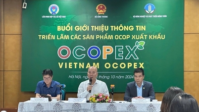 OCOPEX 2024 nhiều cơ hội cho doanh nghiệp vươn ra thế giới với mô hình xuất khẩu xanh và bền vững