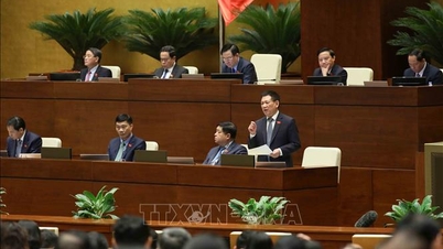자원을 확보하고 개발을 위한 새로운 기회를 활용하세요
