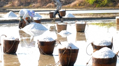TP. Hồ Chí Minh đẩy mạnh xây dựng nông thôn mới gắn với đô thị hóa