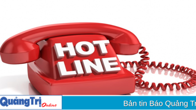 Lập đường dây nóng để tiếp nhận phản ánh, kiến nghị của người dân và doanh nghiệp