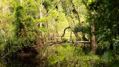ឆ្លងកាត់ 'ផ្លូវដ៏ស្រស់ស្អាតបំផុតនៅភាគខាងជើង' រកឃើញភូមិដែលមានអាយុមួយសតវត្សរ៍នៅ Cat Ba